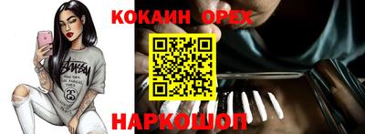 гашик Славгород