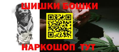 гашик Славгород