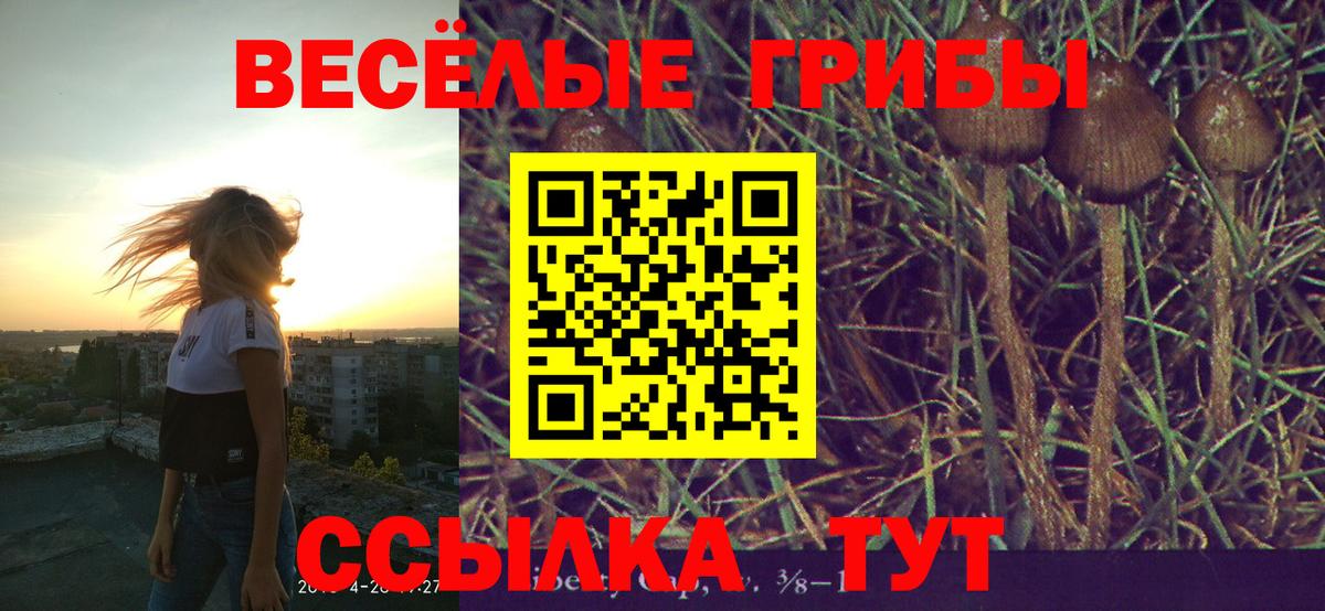 Псилоцибиновые грибы MAGIC MUSHROOMS  Галлюциногенные грибы Psilocybine cubensis  купить наркотик  Вход с VPN  Ноябрьск 