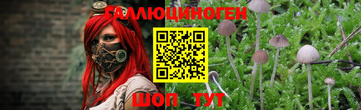Галлюциногенные грибы мухоморы Ноябрьск